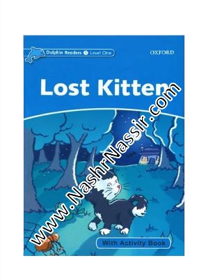 Lost Kitten